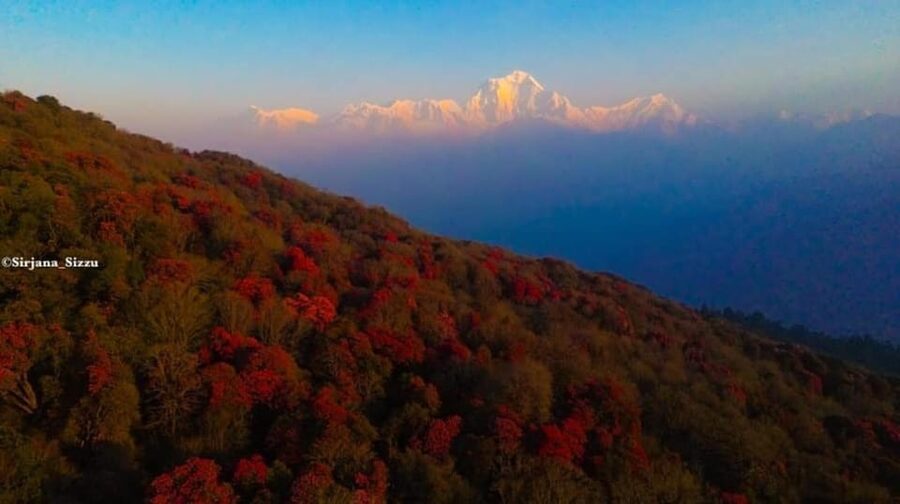 Pokhara: 7-Day Annapurna Base Camp Via PoonHill & Hot Spring - Day 7: Bamboo to Jhinu Dada and Pokhara