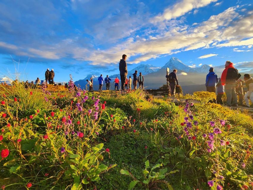 Pokhara: 9-Day Annapurna Base Camp Trek with Poon Hill - Day 8: Bamboo to Jhinu Dada and the natural hot springs