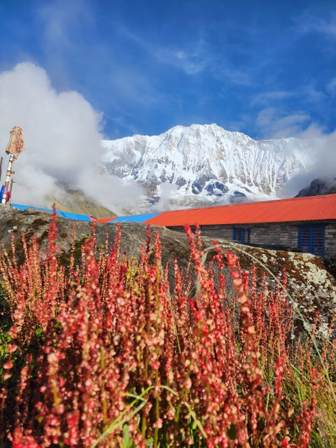 Pokhara: 9-Day Annapurna Base Camp Trek with Poon Hill - Day 3: Poon Hill sunrise, Tadapani, and Chuile