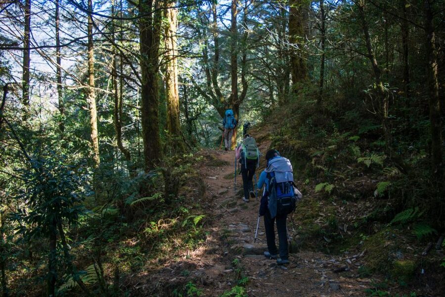 Pokhara: 9-Day Annapurna Base Camp Trek with Poon Hill - Day 5: Sinuwa to Deurali at 3,200 meters