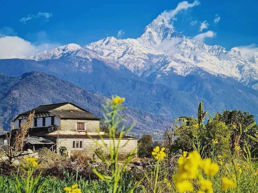 Pokhara: 9-Day Annapurna Base Camp Trek with Poon Hill - Day 7: The long descent to Bamboo