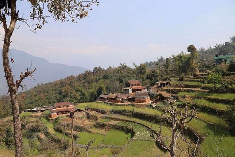 Pokhara: Annapurna Day Hike with Panoramic Views - Key points at a glance