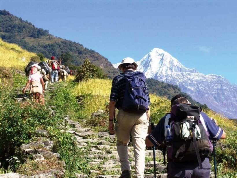Pokhara: Annapurna Day Hike with Panoramic Views - Climbing through forest to Australian Camp