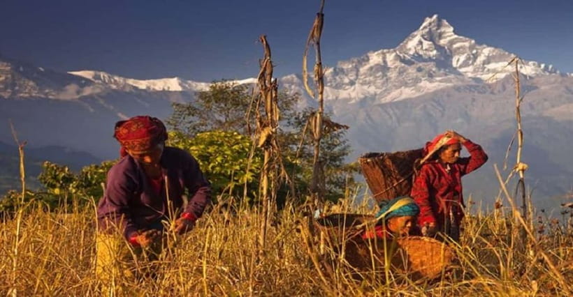 Pokhara: Annapurna Day Hike with Panoramic Views - What the $50 price really covers