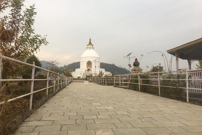 Pokhara: Day Hiking from Sarangkot to World Peace Stupa from Lakeside - The guide, pace, and level of effort