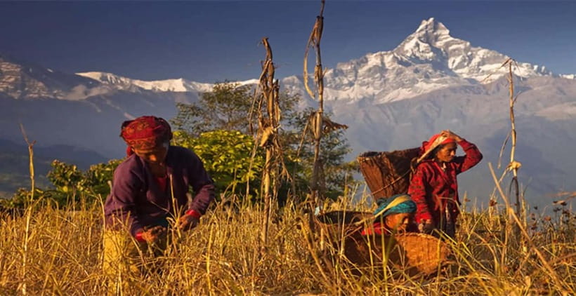 Pokhara: Day Hiking to Australian Base Camp with Lunch - The descent through Phedi