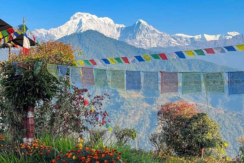 Pokhara: Day Hiking to Australian Base Camp with Lunch - Price, inclusions, and the real value