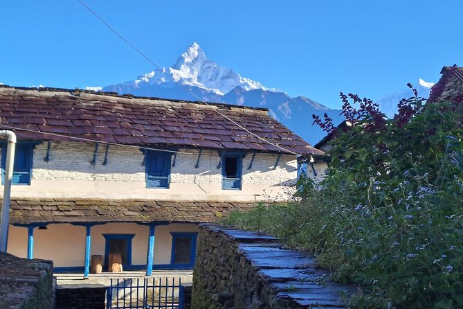 Pokhara: Easy Day Hike to Australian Camp & Dhampus Village - Australian Camp and the Himalayan view
