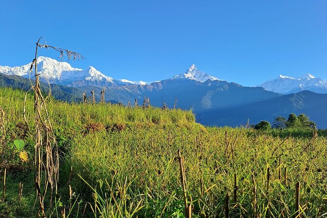 Pokhara: Easy Day Hike to Australian Camp & Dhampus Village - Walking on toward Dhampus village