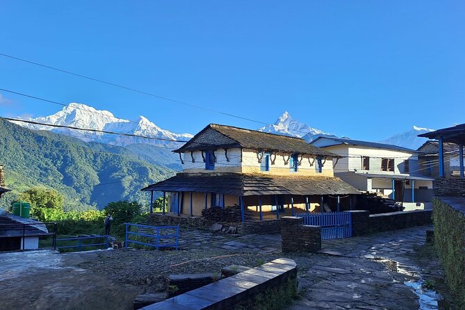 Pokhara: Easy Day Hike to Australian Camp & Dhampus Village - The descent toward Phedi and the return drive