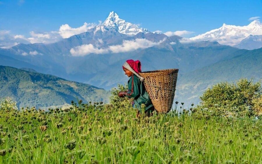 Pokhara : Easy Dhampus & Astam Village Day Hike - Why this Pokhara day hike works so well