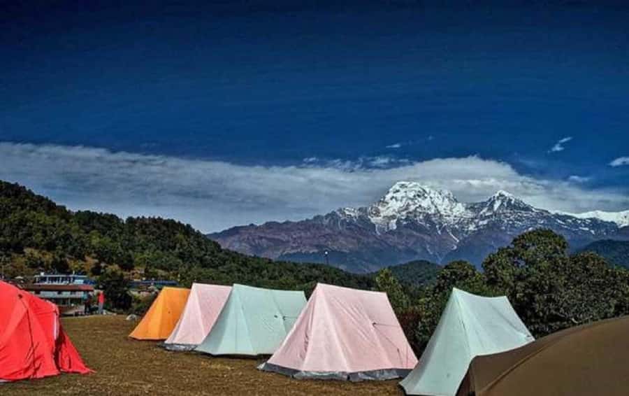 Pokhara: Guided Day Hike From Dampus To Australian Base Camp - Key points at a glance
