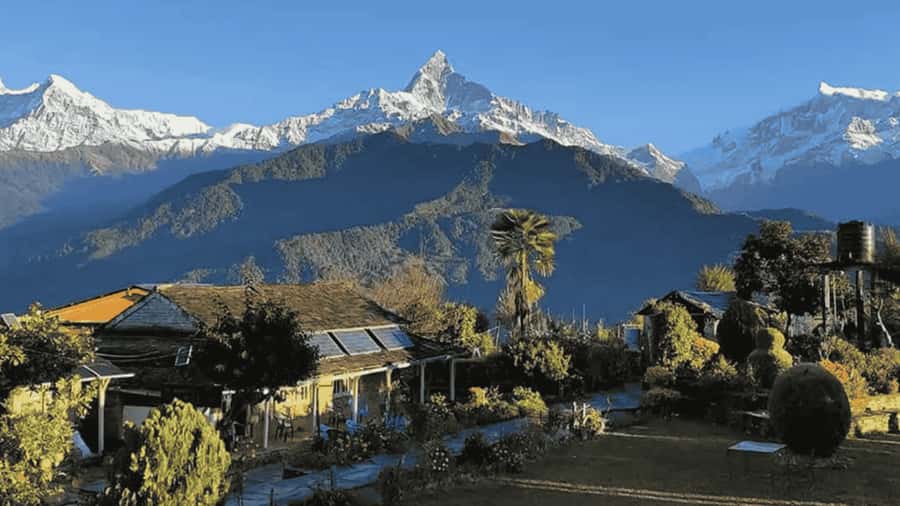 Pokhara: Guided Day Hike From Dampus To Australian Base Camp - Why this short Pokhara hike works