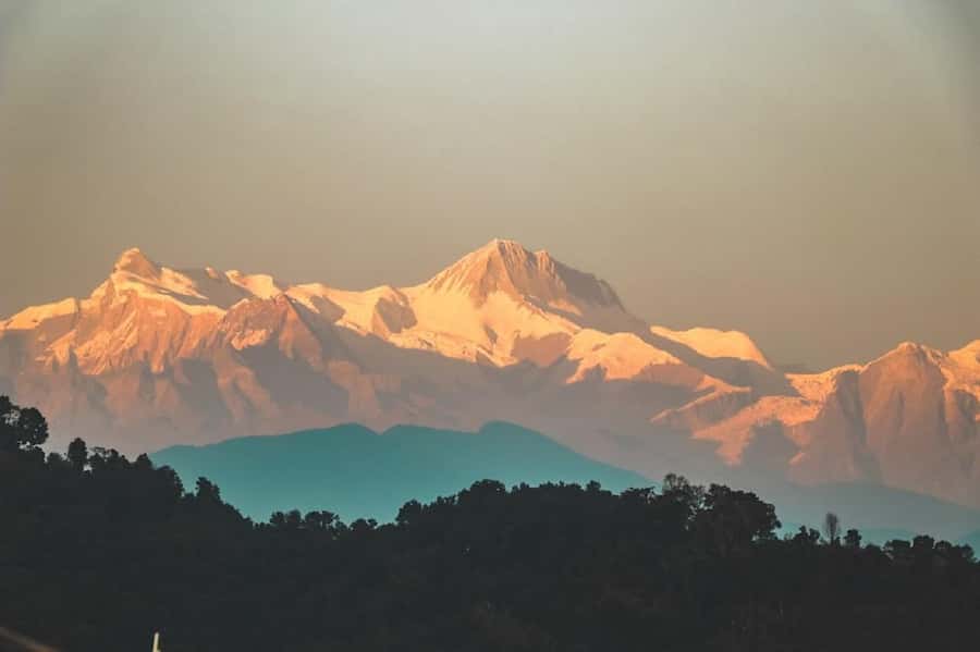 Pokhara: Guided Day Hike From Dampus To Australian Base Camp - The forest trail from Dhampus