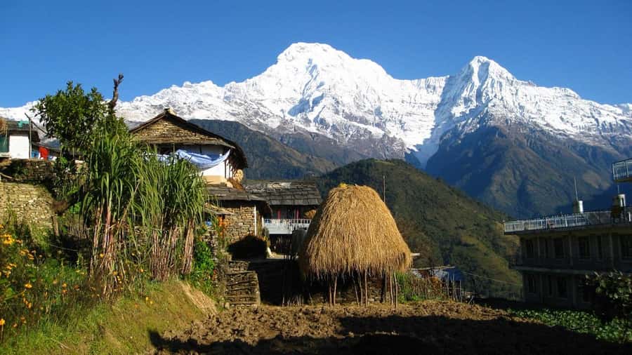 Pokhara: Guided Day Hike From Dampus To Australian Base Camp - Reaching Australian Base Camp viewpoint
