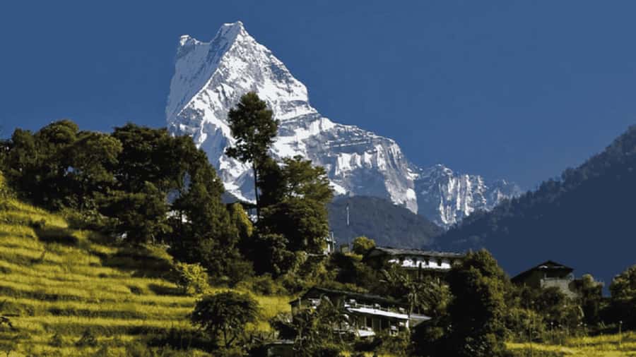 Pokhara: Guided Day Hike From Dampus To Australian Base Camp - The drive from Pokhara to Dhampus