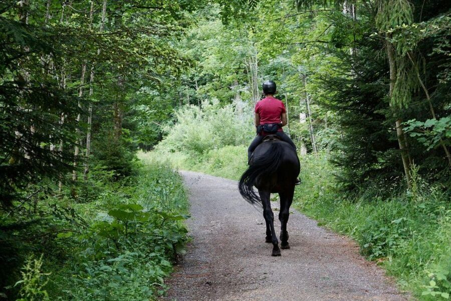 Pokhara: Horseback Adventure - Key points at a glance