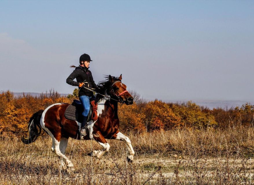 Pokhara: Horseback Adventure - Riding away from Pokhara’s Lakeside