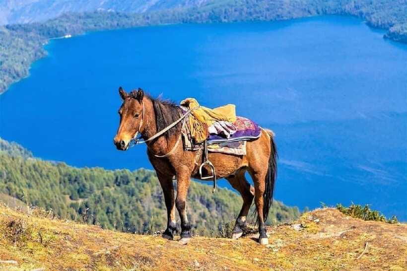 Pokhara: Horseback Riding Adventure with Hotel Pickup - The lake route and the mountain route