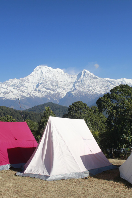 Pokhara: One night camping, campfire stay at Australian camp - Sunrise over Annapurna and Dhaulagiri