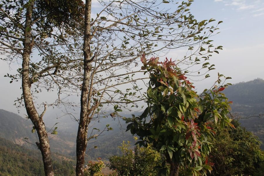 Pokhara: One night camping, campfire stay at Australian camp - The return walk and the road back to Pokhara