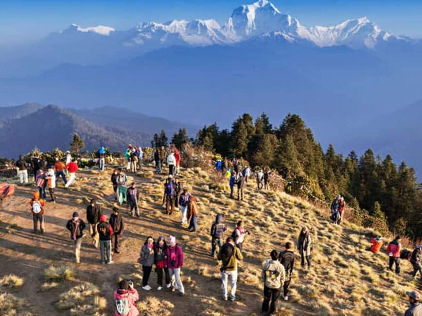 Pokhara: Poon Hill Trek - Day 2: Ulleri to Ghorepani through rhododendron forest