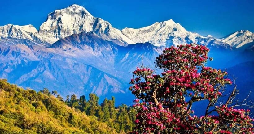 Pokhara: Poon Hill Trek - The physical challenge: short does not mean effortless