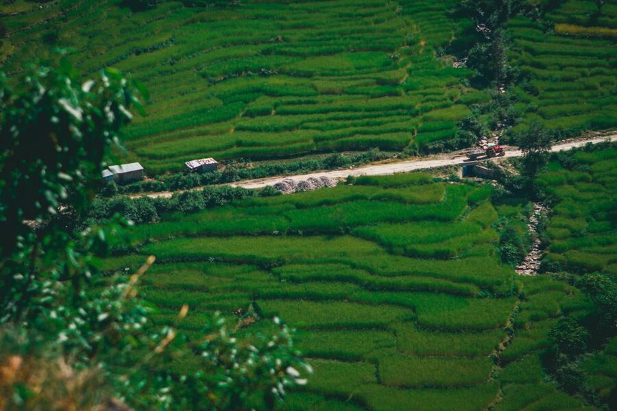 Pokhara: Suspension Bridge Private Tour- 30 Min Village Walk - The guides make the biggest difference