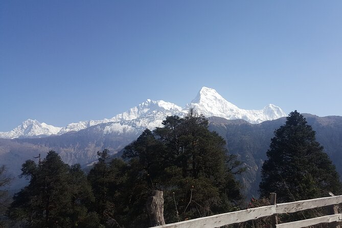 Poon hill Trek 3 days - The guide, porter, and small-group setup