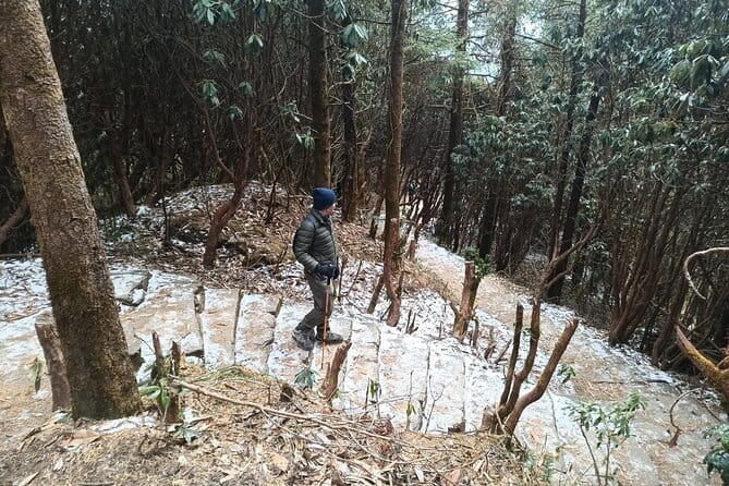 Poon Hill Trek from Pokhara 4 Days - Day 4: Ghandruk back to Pokhara