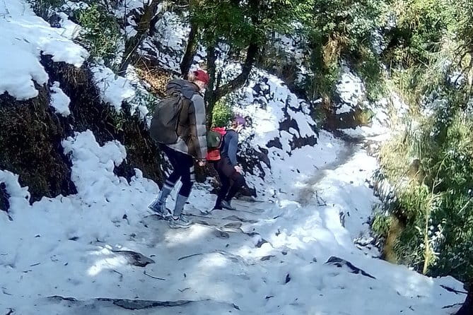 Poon Hill Trek package - The Long Walk to Ghandruk
