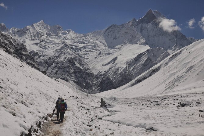 Private 7 - Day Annapurna Base Camp Trekking - Day 5: A full day around the base camp region