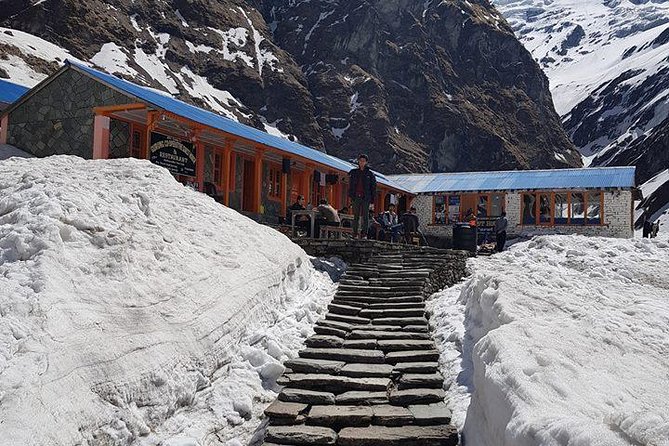 Private 7 - Day Annapurna Base Camp Trekking - Day 2: Stone steps, Sinuwa, and Bamboo