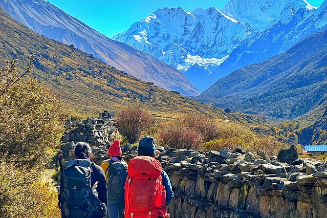 Private 8 - Day Langtang Trekking - Day 6: Descending through rhododendron forest