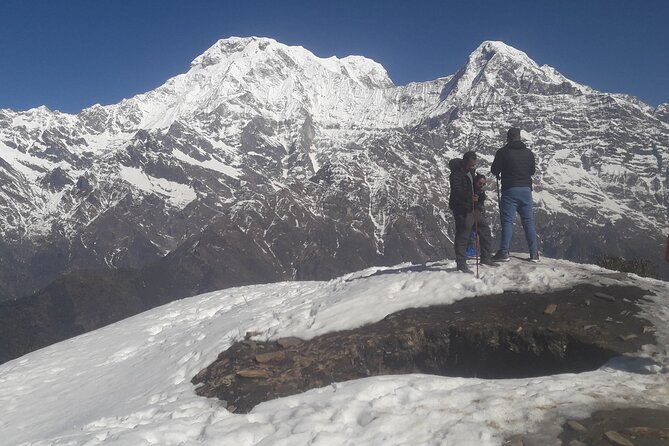 Private Mardi Himal Trek - Day 4: Mardi Himal Base Camp or the shorter viewpoint