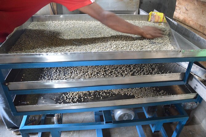 Sarangkot Village Coffee Culture and Authentic Local Life Tour - From SalesBerry to the edge of Phewa Lake