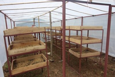 Sarangkot Village Coffee Culture and Authentic Local Life Tour