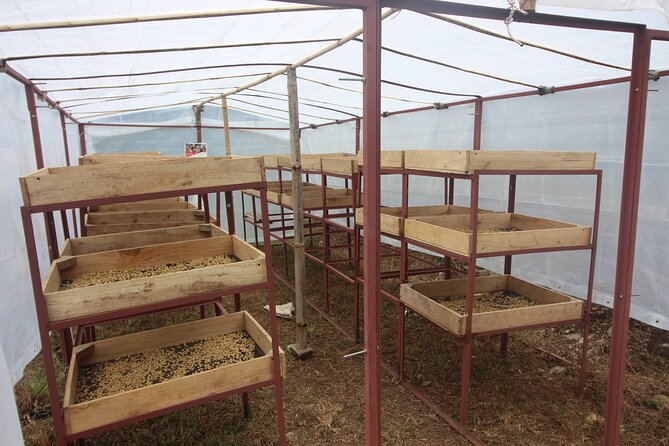 Sarangkot Village Coffee Culture and Authentic Local Life Tour - Pandeli Park gives you the big Phewa view