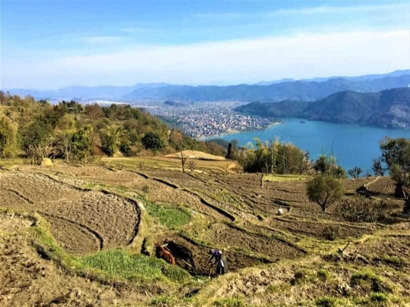 Seti George and Thrilling Suspension Bridge Tour at Pokhara - Crossing the suspension bridge safely